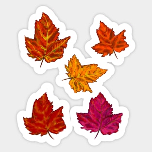Autumn decorations for  Fall Autumn leaves sticker pack pattern Sticker